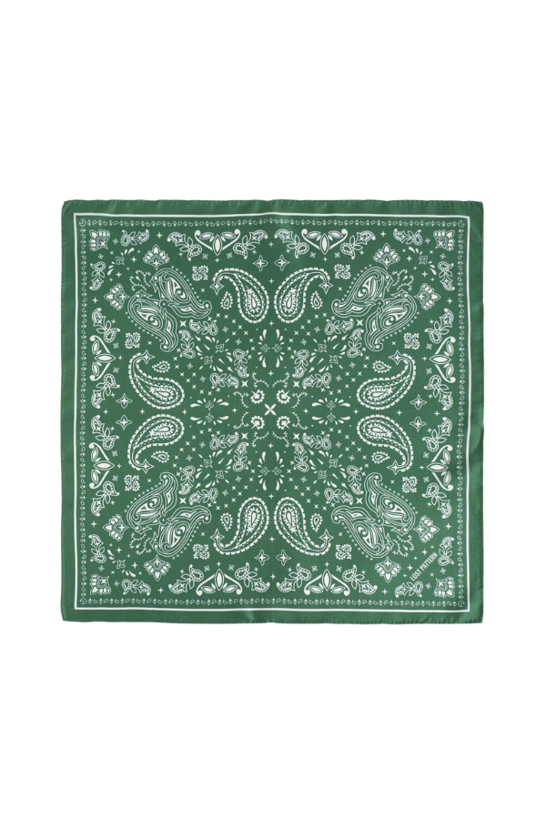Paisley Silk Bandana Scarf in Sagebrush Green