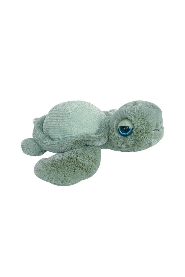 Tyler Turtle Soft Toy