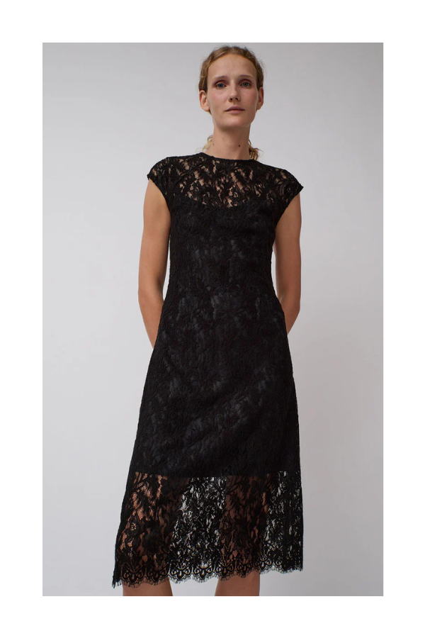 Erika Dress in Embroidered Lace