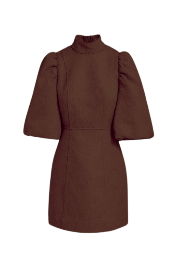Ernich Puff Sleeve Mini Dress in Brown Stone