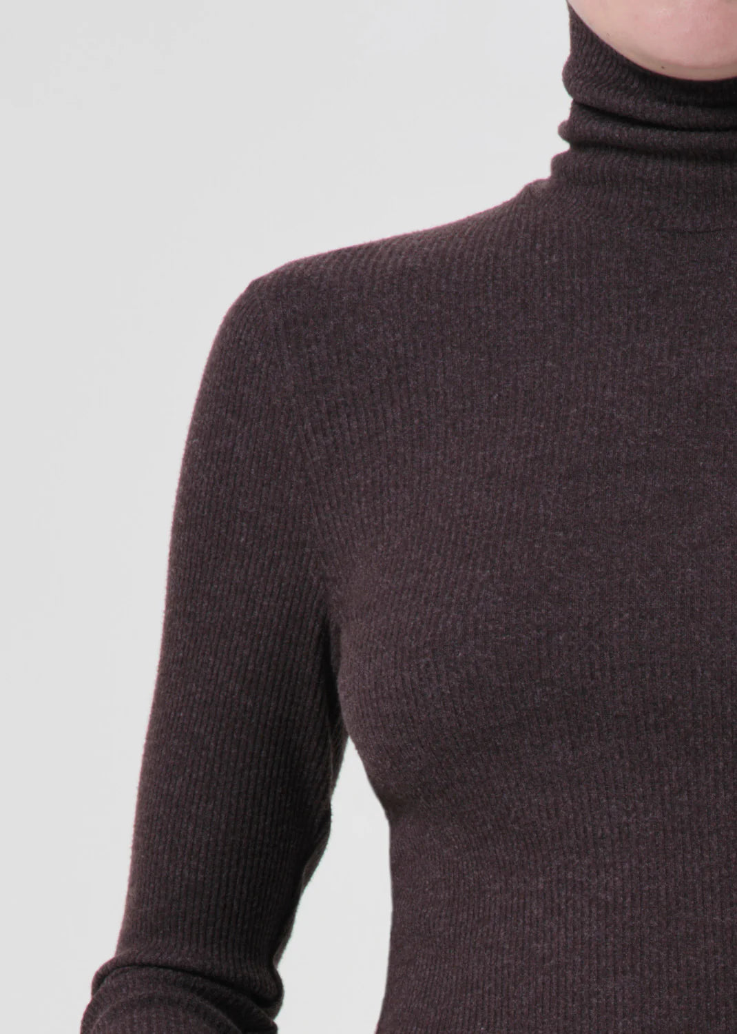 Pascale Turtleneck in Fox