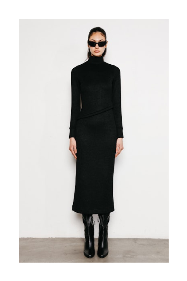 Valentina Longsleeve Turtle Neck Dress