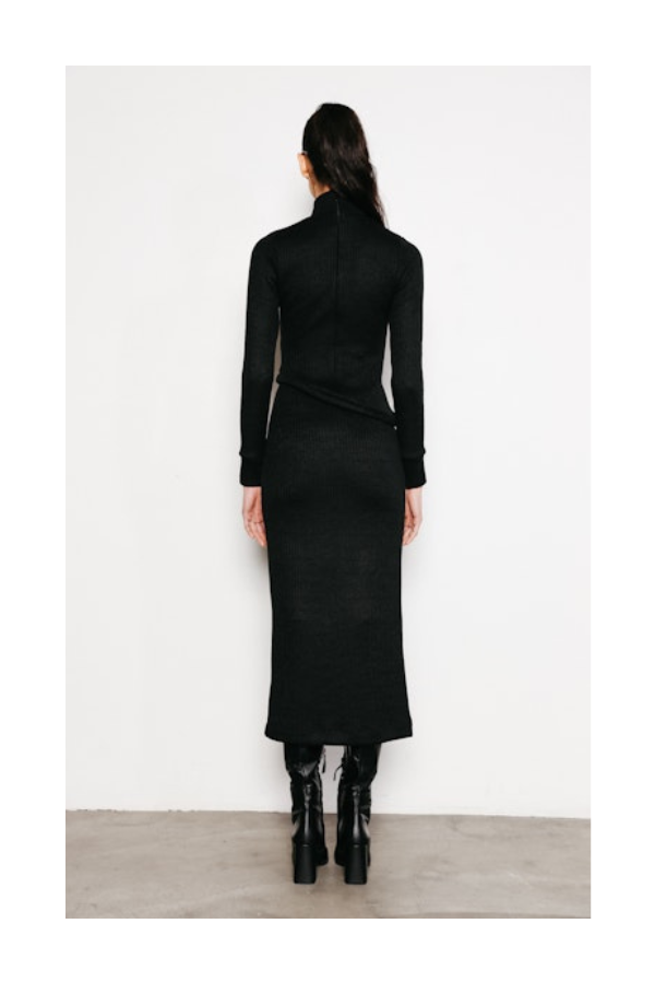 Valentina Longsleeve Turtle Neck Dress