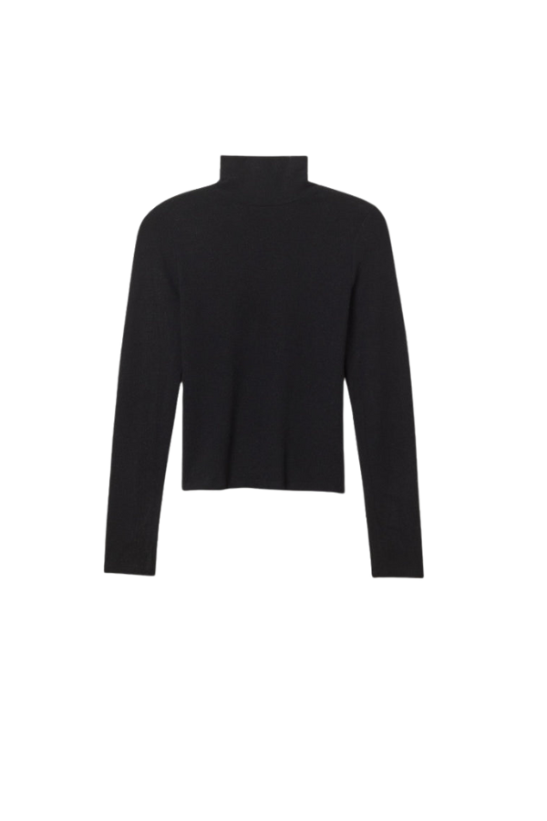 Dana Brushed Sweater Jersey Turtleneck in True Black