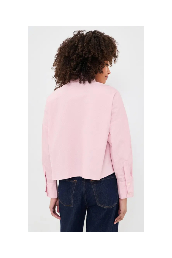 Carter Shirt in Pink Stripe