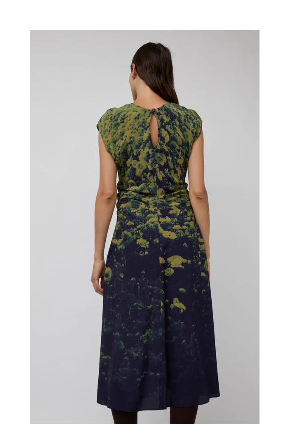 Rochelle Dress in Green Poppies