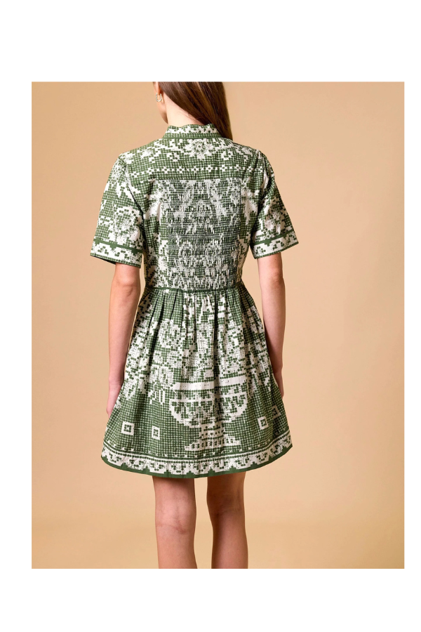 Starling Mini Dress in Verdant Flight