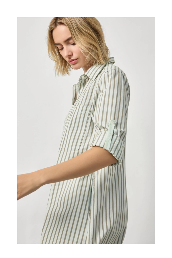 Striped Shirt Dress in Pool Stripe