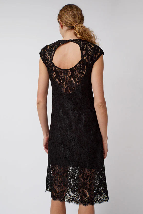 Erika Dress in Embroidered Lace