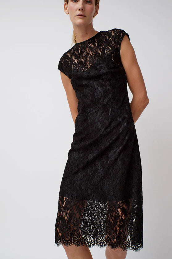 Erika Dress in Embroidered Lace