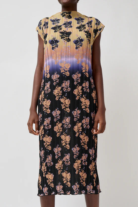 Julien Dress in Dip Dye Shadow Floral